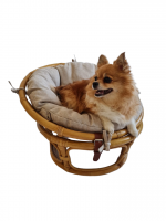 Кресло папасан - мини 23/01Е с подушкой, цвет: мёд фото Кресло папасан - мини 23/01Е с подушкой, цвет: мёд. Фото №1