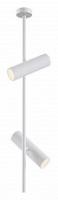 Светильник на штанге Maytoni Elti C021CL-02W фото Светильник на штанге Maytoni Elti C021CL-02W. Фото №1