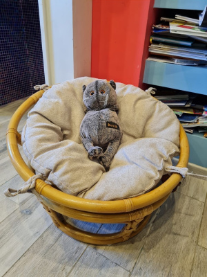 Кресло папасан - мини 23/01Е с подушкой, цвет: мёд фото Кресло папасан - мини 23/01Е с подушкой, цвет: мёд. Фото №5