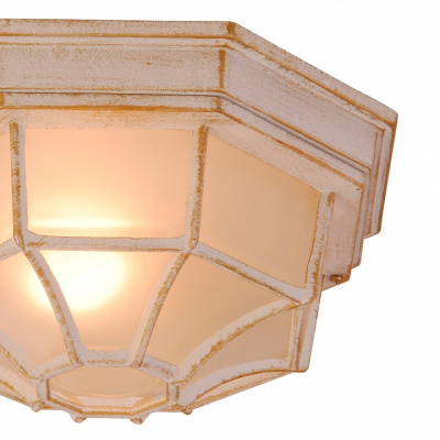 Накладной светильник Globo Perseus 31210. Фото