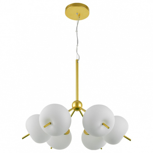 Подвесная люстра Favourite Bacca 2643-6P. Фото №2