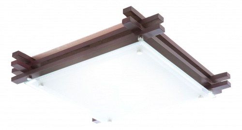 Накладной светильник Globo Edison 48324-2. Фото №1