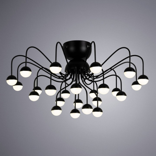 Потолочная люстра Arte Lamp Dexter A3619PL-24BK фото Потолочная люстра Arte Lamp Dexter A3619PL-24BK. Фото №2