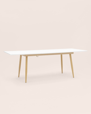 Стол обеденный Стокгольм раскладной 160-220*90 белый. Фото