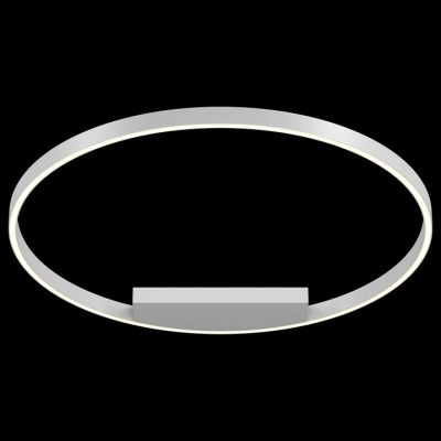 Накладной светильник Maytoni Rim MOD058CL-L50W4K. Фото