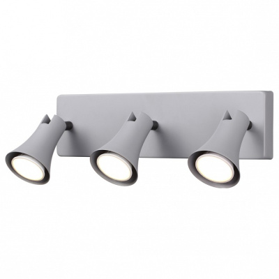 Спот Odeon Light Reanna 3825/3W. Фото