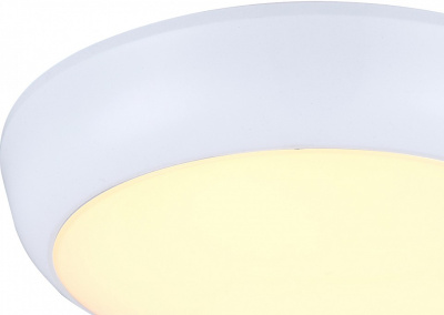 Накладной светильник Globo John 32116 фото Накладной светильник Globo John 32116. Фото №2