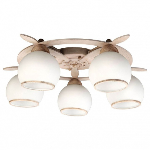 Потолочная люстра Omnilux Fronteira OML-50517-05. Фото №1